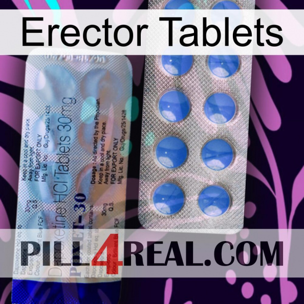 Erector Tablets 39.jpg